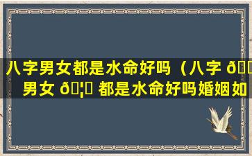 八字男女都是水命好吗（八字 🌲 男女 🦊 都是水命好吗婚姻如何）